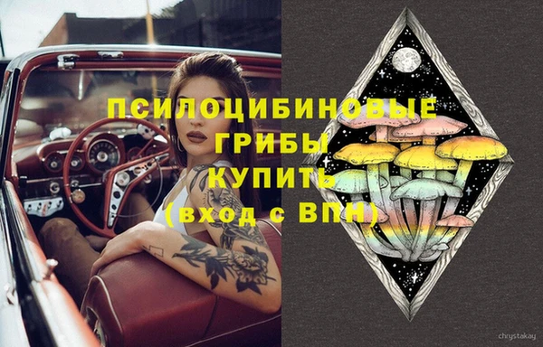 мескалин Арсеньев