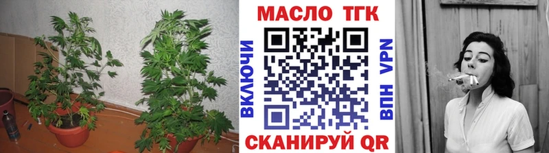 наркошоп  Малмыж  ТГК жижа 